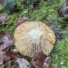 11 b Rund um Ellwangen
